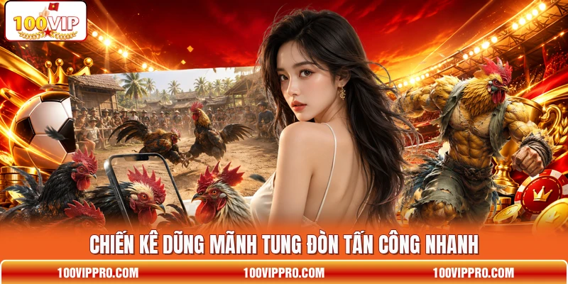 Chiến kê dũng mãnh tung đòn tấn công nhanh