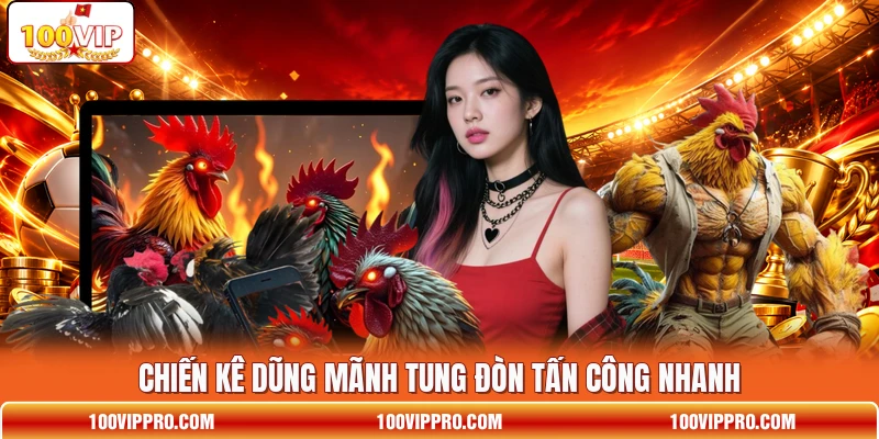 Chiến kê dũng mãnh tung đòn tấn công nhanh