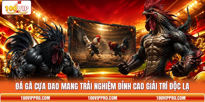 Đá Gà Cựa Dao Mang Trải Nghiệm Đỉnh Cao Giải Trí Độc Lạ