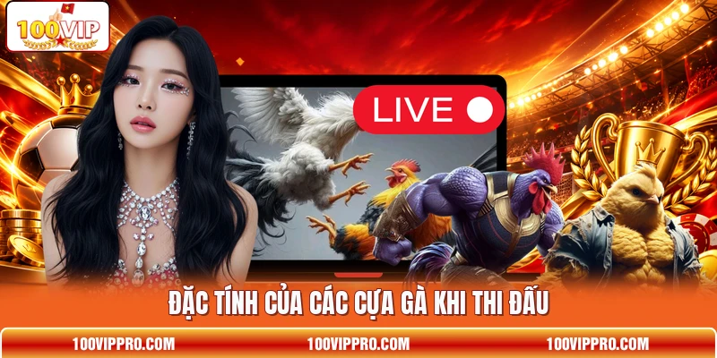 Đặc tính của các cựa gà khi thi đấu