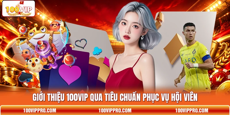 Giới thiệu 100VIP qua tiêu chuẩn phục vụ hội viên