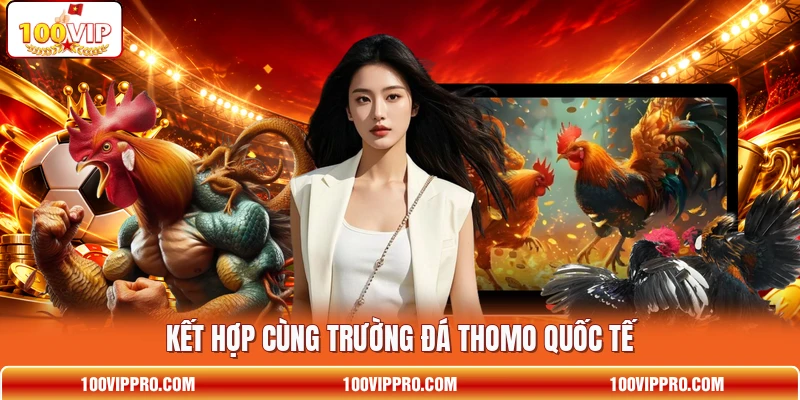 Kết hợp cùng trường đá Thomo quốc tế