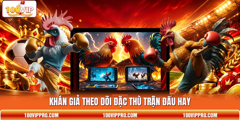 Khán giả theo dõi đặc thù trận đấu hay Khán giả theo dõi đặc thù trận đấu hay