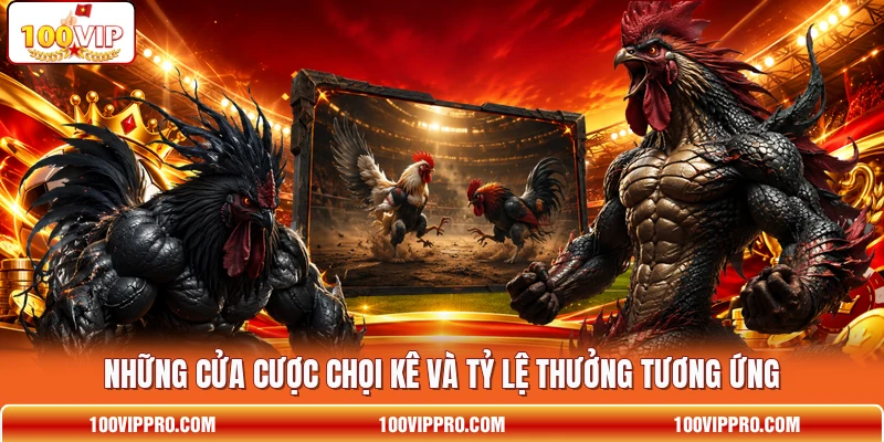 Những cửa cược chọi kê và tỷ lệ thưởng tương ứng