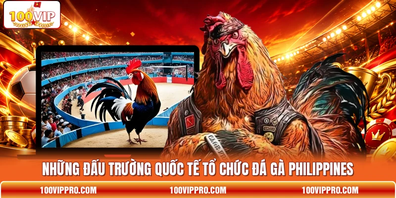 Những đấu trường quốc tế tổ chức đá gà Philippines