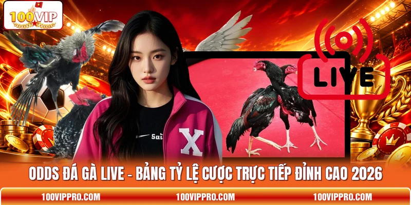Odds Đá Gà Live - Bảng Tỷ Lệ Cược Trực Tiếp Đỉnh Cao 2026