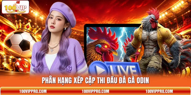 Phân hạng xếp cặp thi đấu đá gà ODIN