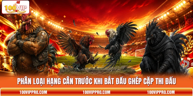Phân loại hạng cân trước khi bắt đầu ghép cặp thi đấu