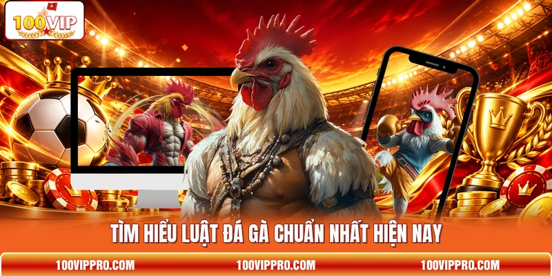 Tìm hiểu luật đá gà chuẩn nhất hiện nay Tìm hiểu luật đá gà chuẩn nhất hiện nay