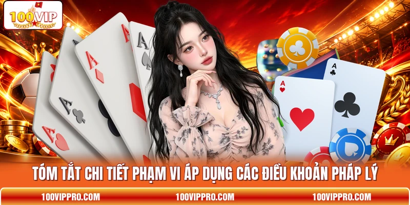 Tóm tắt chi tiết phạm vi áp dụng các điều khoản pháp lý