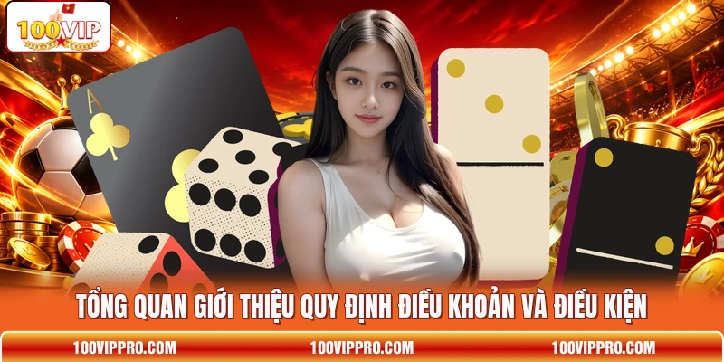 Tổng quan giới thiệu quy định điều khoản và điều kiện